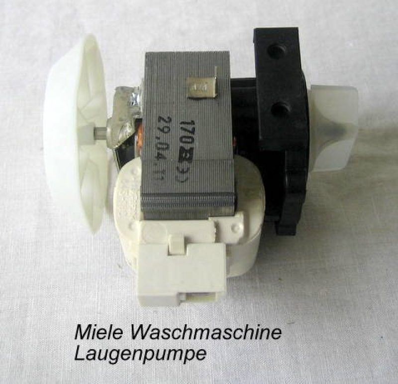 Miele 4301357800 Machine à laver Accessoires pompes à eaux usées Pompe