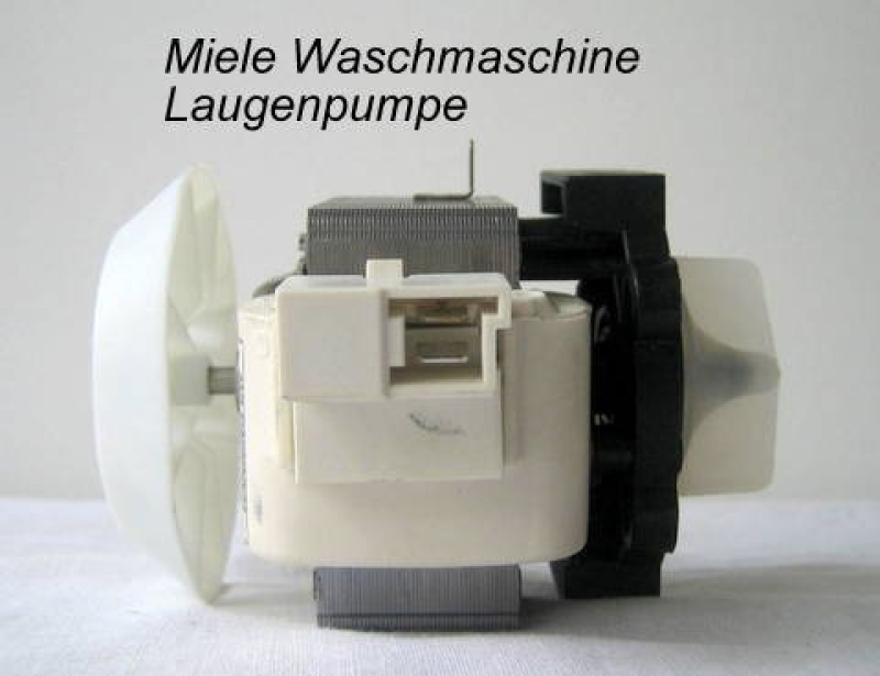 Miele 4301357800 Machine à laver Accessoires pompes à eaux usées Pompe