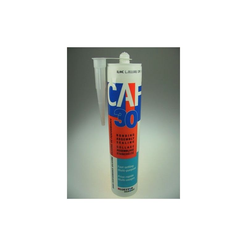 MASTIC SILICONE BLANC