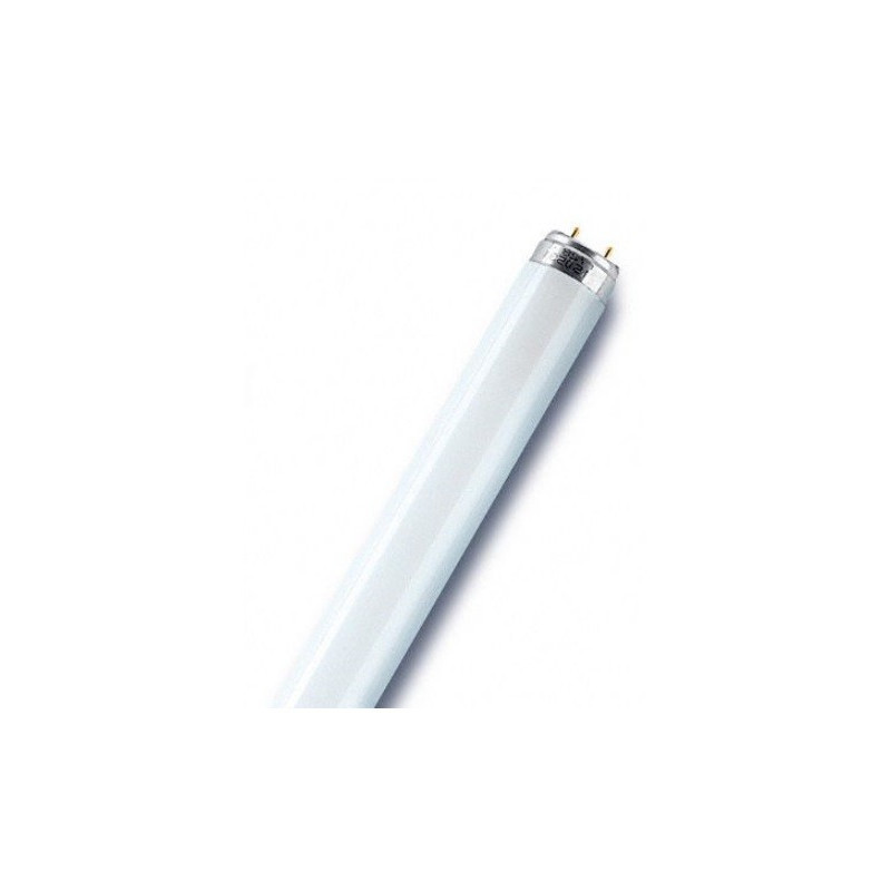 LUMILUX T8 LAMPE FLUORESCENTE LUMILUX(OSRAM), T8 26X720MM COOLWHITE